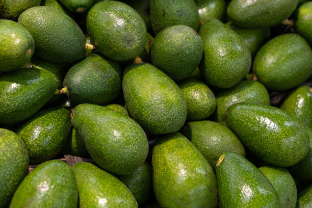 istock A typical market stall selling avocado fruit to tourists in Marrakech 1135522848