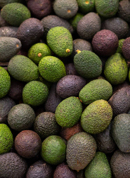 istock A typical market stall selling avocado fruit to tourists in Marrakech 1135522926