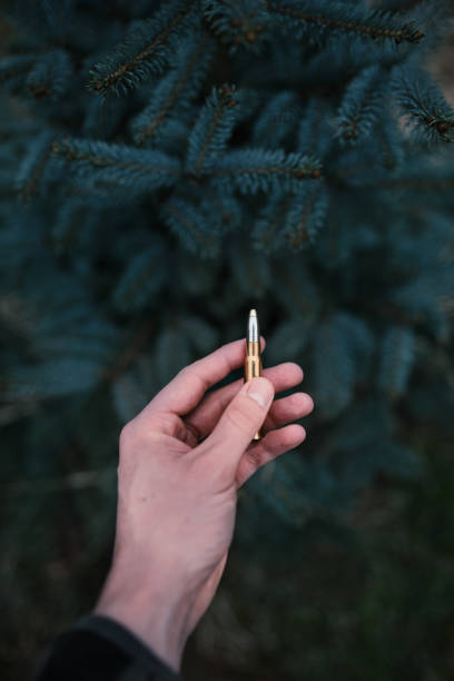 istock Man´s hand holding an ammunition against natural background. Professional hunter and ammunition for hunting.  Caliber 8x57 1135524454