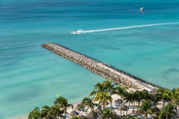 istock Coconut trees in the sand on a beach in Aruba. Lesser Antilles 1135525064