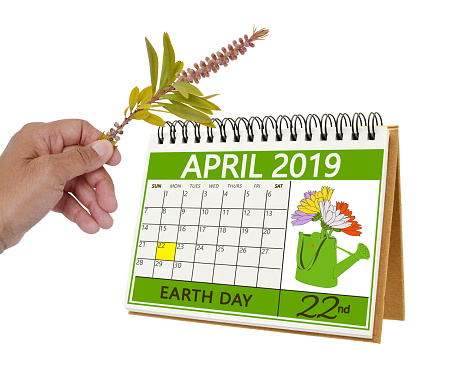 Hand holding plant in front of Earth Day April 2019 calendar white background
