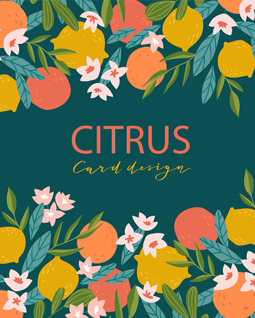 Tropical summer fruit card. Citrus tree in hand drawn style. Vector design with oranges, lemons and flowers for branding, invitations or greeting cards.