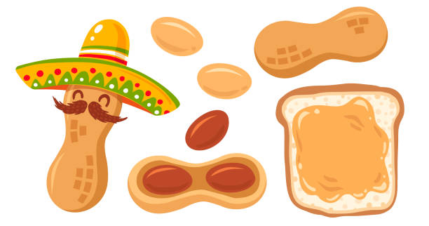 ilustraciones, imágenes clip art, dibujos animados e iconos de stock de icono conjunto de cacahuetes - peanut