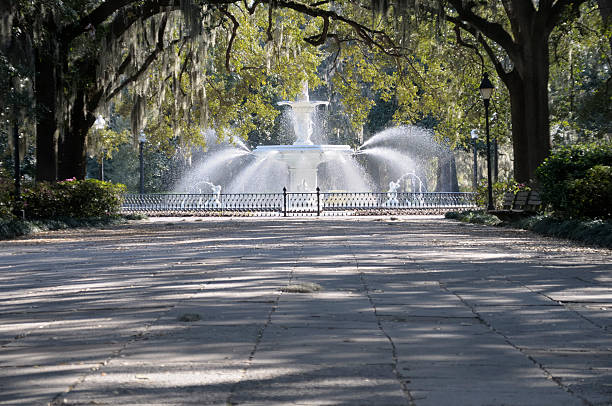 istock Forsythe Park, Savannah, Georgia 113553049