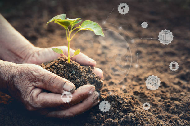 istock Digital Composite Image Of Hands Planting Sapling With Icons 1135534202