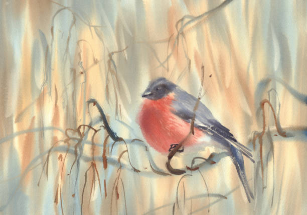 istock little bird bullfinch on the branch watercolor background 1135535208