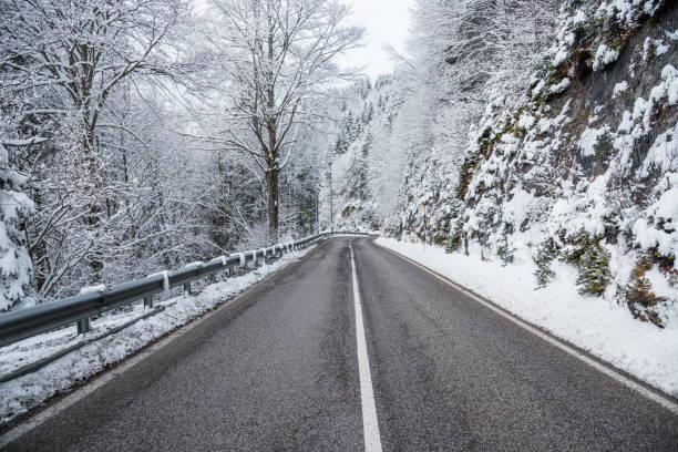 istock Scenic  Straight Road through a Snowy Forest in Winter 1135538477