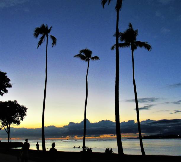 istock Various sunsets over Pacific Ocean taken Oahu, HI 1135539494