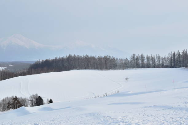 istock snow field on mountain in Hokkaido Japan 1135539518