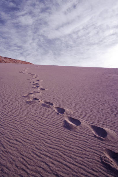 istock Footprints in a sand dune in the desert at Valle de la Muerte 1135539559
