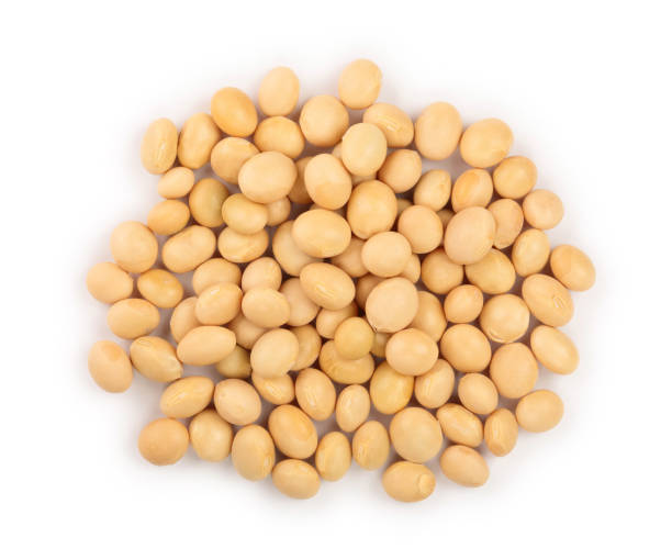 istock soybeans isolated on white background top view 1135544026