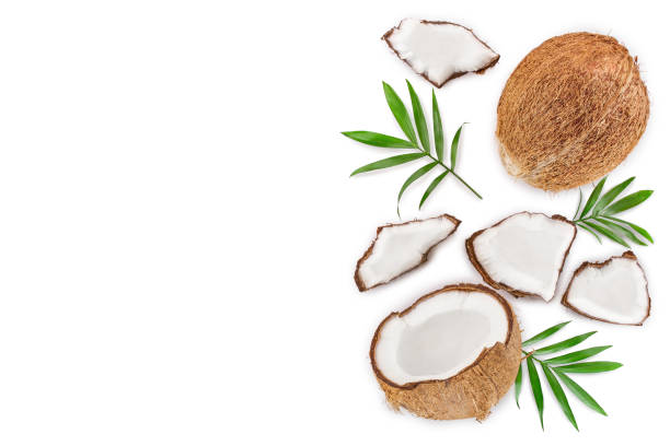 istock coconut with leaves isolated on white background with copy space for your text. Top view. Flat lay 1135544030