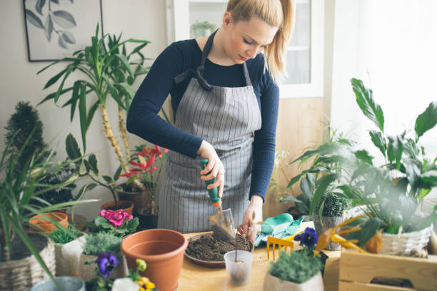 istock Preparing soil for planting flowers 1135548967