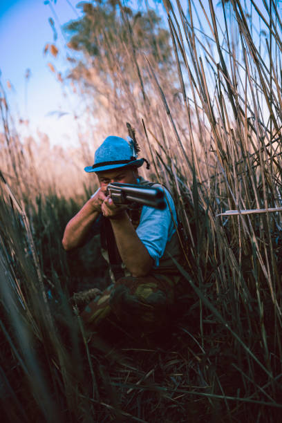 istock Hidden Hunter In The Swamp 1135552462