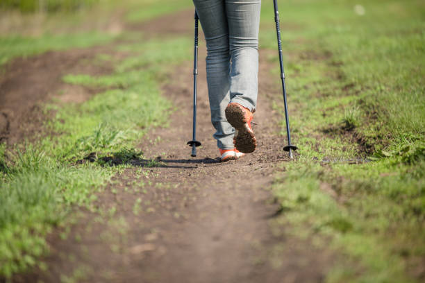 istock Photo from back of human with walking sticks 1135553864