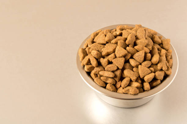 istock Bowl with dog food on a light background . Close up. 1135555826
