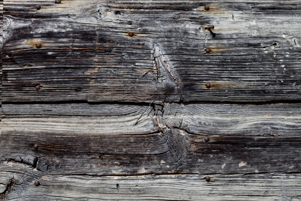 istock Old wooden grunge door 1135558054