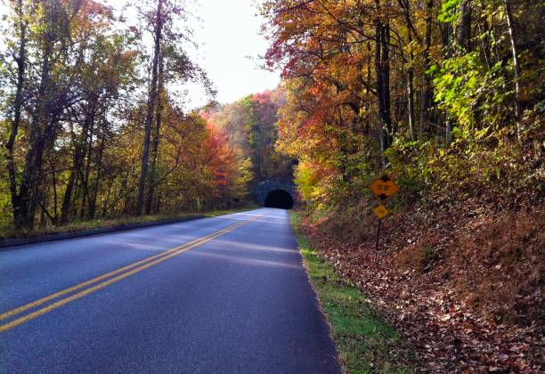 istock Blue Ridge Scenic Parkway - Smokey Mountains 1135559908