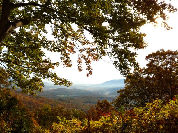 istock Blue Ridge Scenic Parkway - Smokey Mountains 1135559912