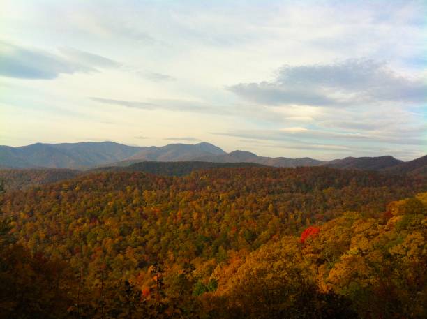 istock Blue Ridge Scenic Parkway - Smokey Mountains 1135559921