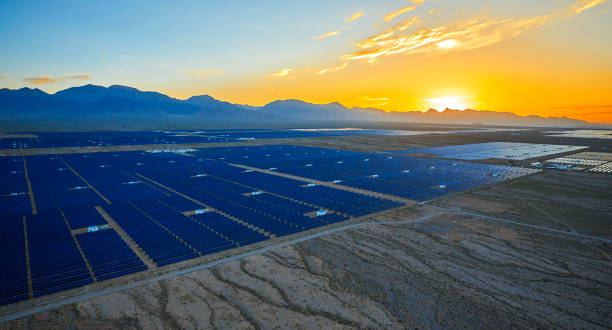 istock Aerial solar photovoltaic panel at sunset 1135562846