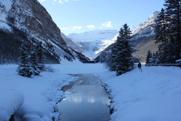 istock Ice Sculptures at Lake Louise 1135563629