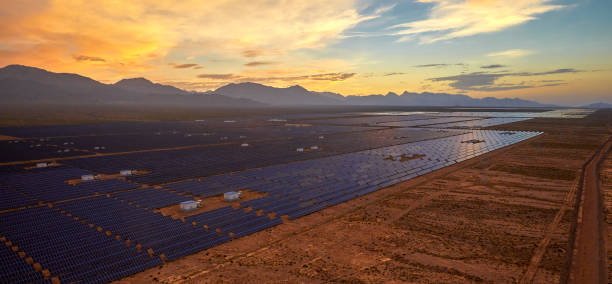 istock Aerial solar photovoltaic panel at sunset 1135563706