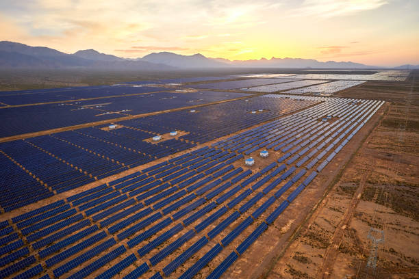 istock Aerial solar photovoltaic panel at sunset 1135563724