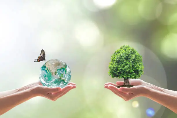 Sustainable environment and saving energy concept with green earth and tree planting on volunteers' hands. Element of the image furnished by NASA