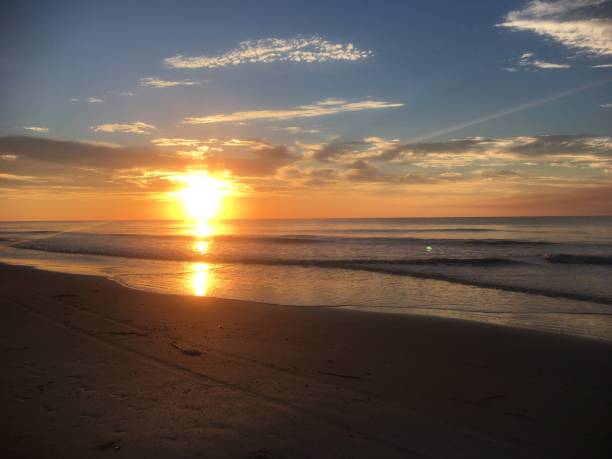 istock Hunting Island Beach 04 1135565466