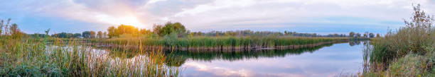 Photo of Panorama Evening or sunrise on a quiet forest lake