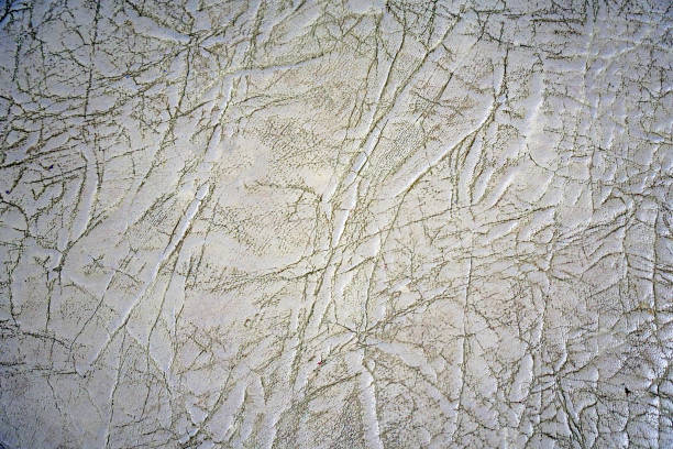 Old white skin texture with folds on surface