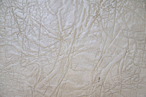 istock Old white skin texture with folds on surface 1135570036