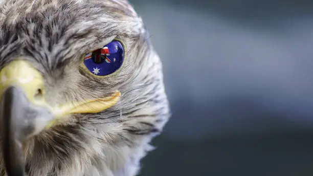 Photo of Australia flag on Eagle eye with dispalce