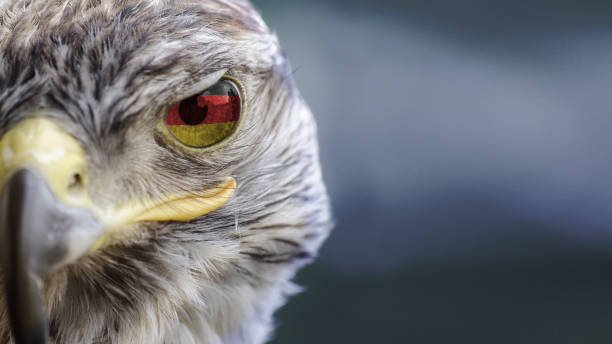istock German flag on Eagle eye with dispalce and mask 1135570666