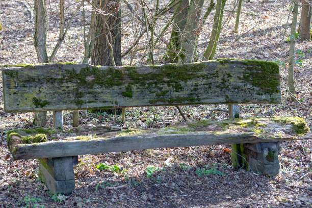 istock Wooden park bench covered with bright green moss 1135572259