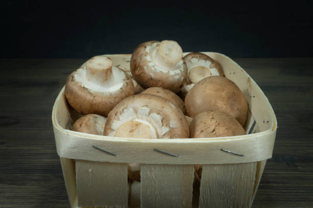 istock Fresh whole brown (Baby Bella) mushrooms 1135574087