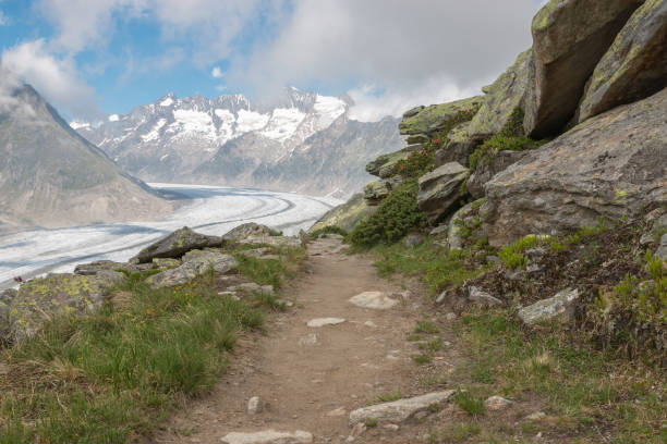 istock Panorama of mountains scene, walk through the great Aletsch Glacier 1135574244