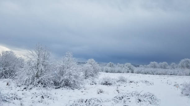 Winter sky and landscape frost covered stock photo