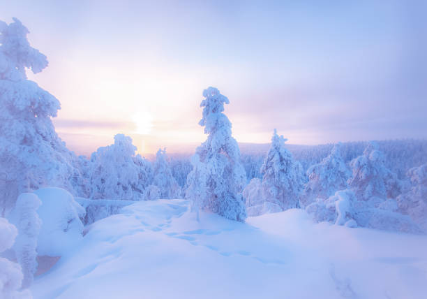 istock Winter landscape from Sotkamo, Finland. 1135575742