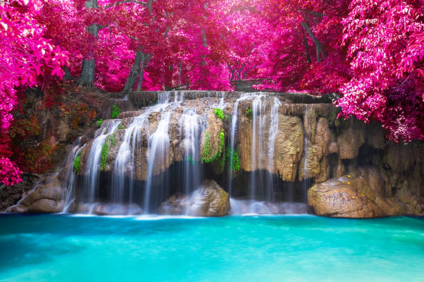 cascade de jungle de forêt tropicale profonde - erawan national park beauty in nature waterfall photos et images de collection