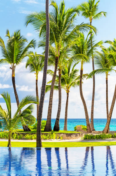 Tropical beach resort with umbrellas and lounge chairs