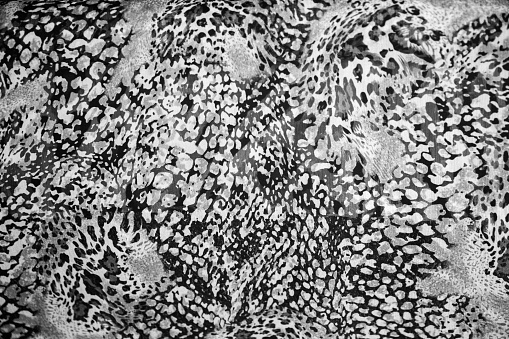 Snake textured print on the fashion material. Trends of the year. Black and white