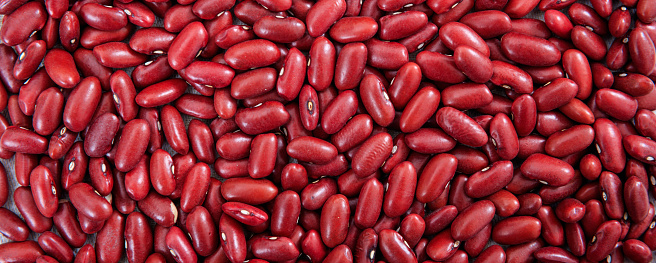 Kidney beans. Red beans uncooked full background, banner, top view