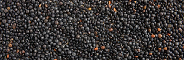 black lentils uncooked full background, banner, top view - lentil full frame macro close up imagens e fotografias de stock