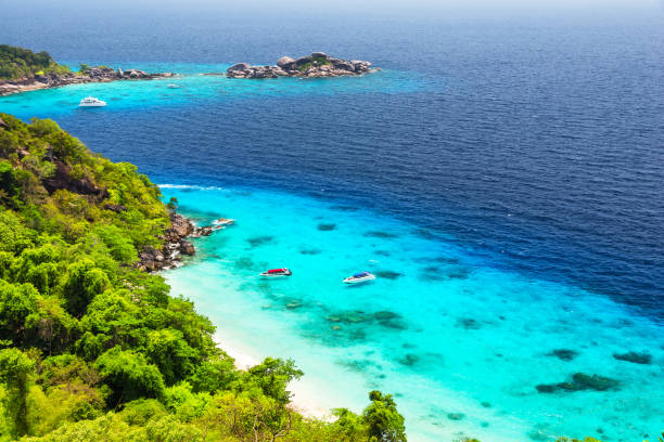 istock Beautiful white sand beach and turquoise water 1135582030