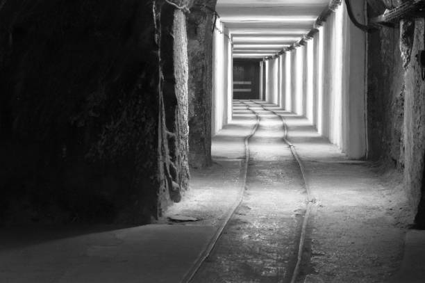 Vertical of abandoned railroad tunnel through bedrock in Connecticut, black and white. The Shepaug Valley Railroad ran through here from 1875 to 1948. To create the tunnel, Pennsylvania miners blasted through 235 feet of schist, a metamorphic rock. It was a very tight fit for the steam locomotive and train cars. The tunnel and footpath are in the Steep Rock Reservation, a nature preserve in Washington, CT. Some people are afraid to walk through.