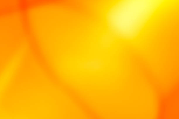 istock Soft yellow lights abstract background. 1135585888