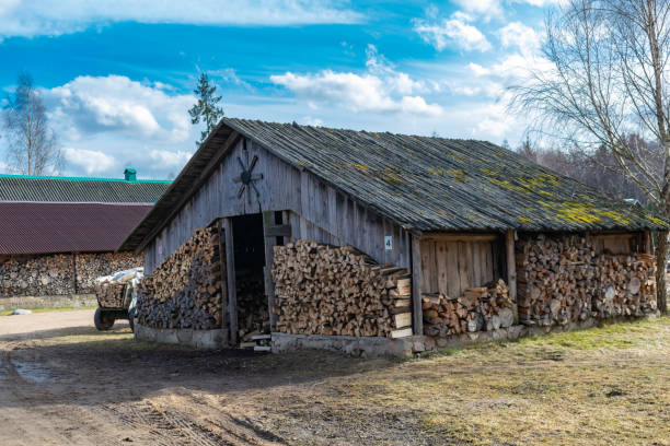 istock old Russian palennitsa for storing firewood for the winter 1135586735