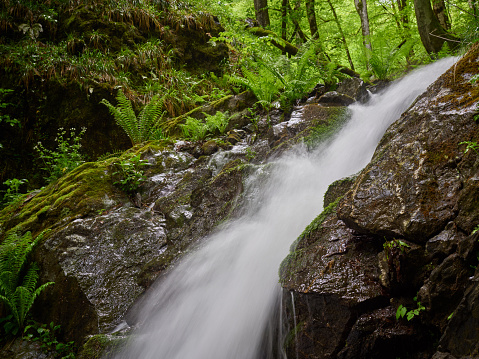 Powerful creek with a waterfall in the spring forest. Waterfall in the forest. Mountains in the spring.